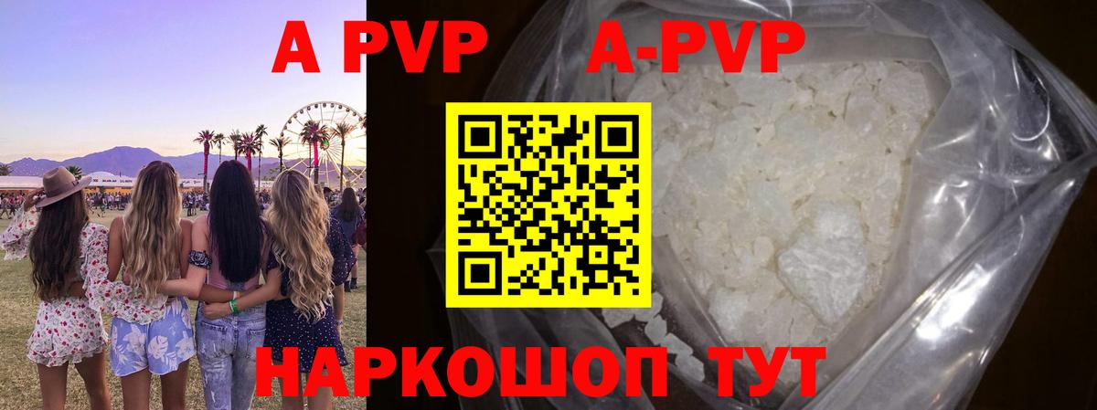 Alfa_PVP СК Елец