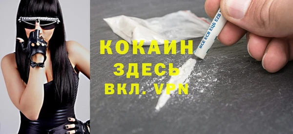мдпв Сосновка
