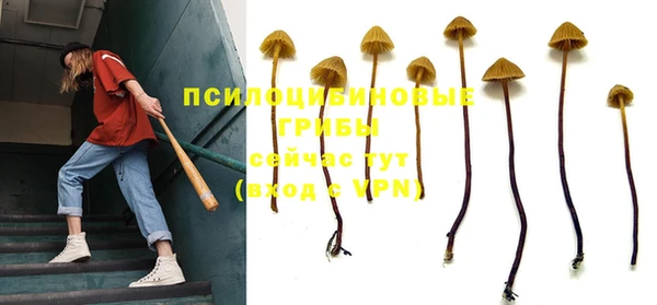 спайс Вяземский