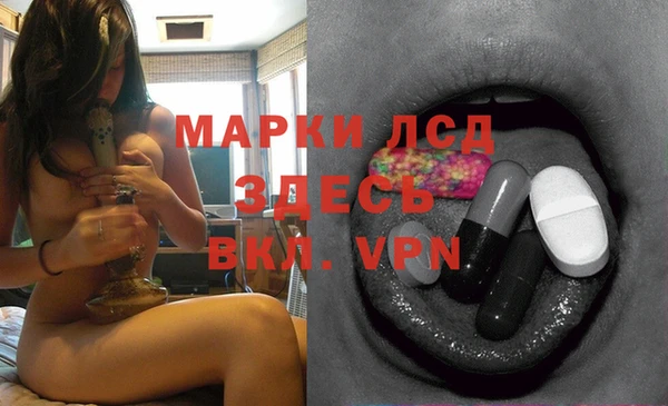 спайс Вяземский